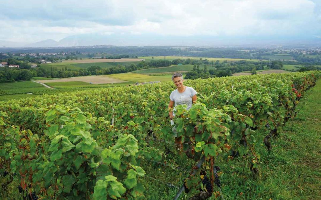 Sophie Dugerdil: au plaisir des vendanges!