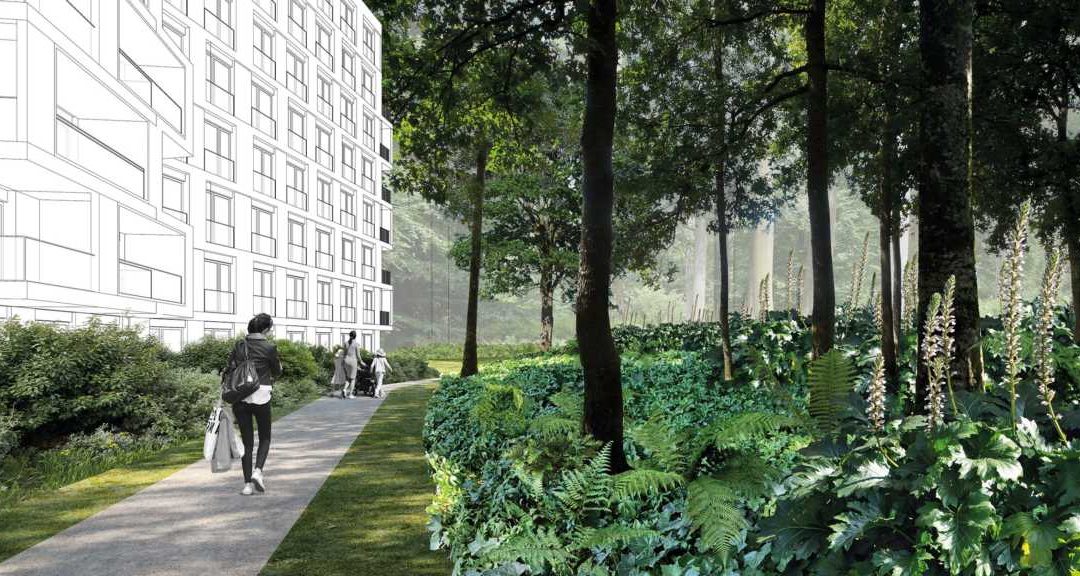 Des immeubles locatifs au cœur d’une forêt