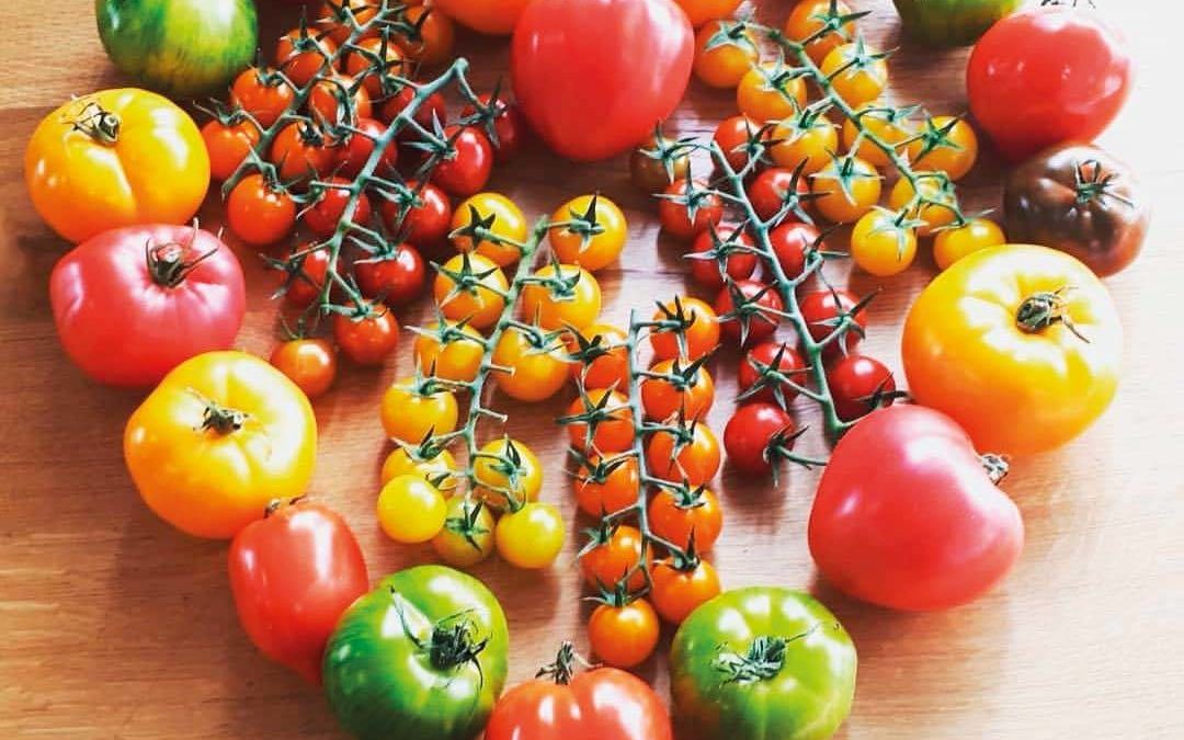 La tomate, à toutes les sauces
