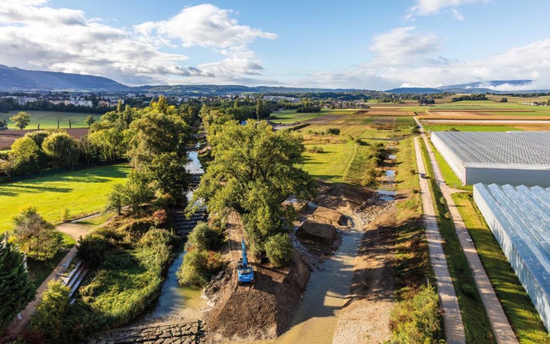 La nature reprend ses droits