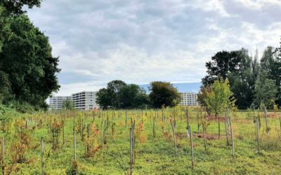 La qualité du logement à Genève: une réforme pour relever le défi!