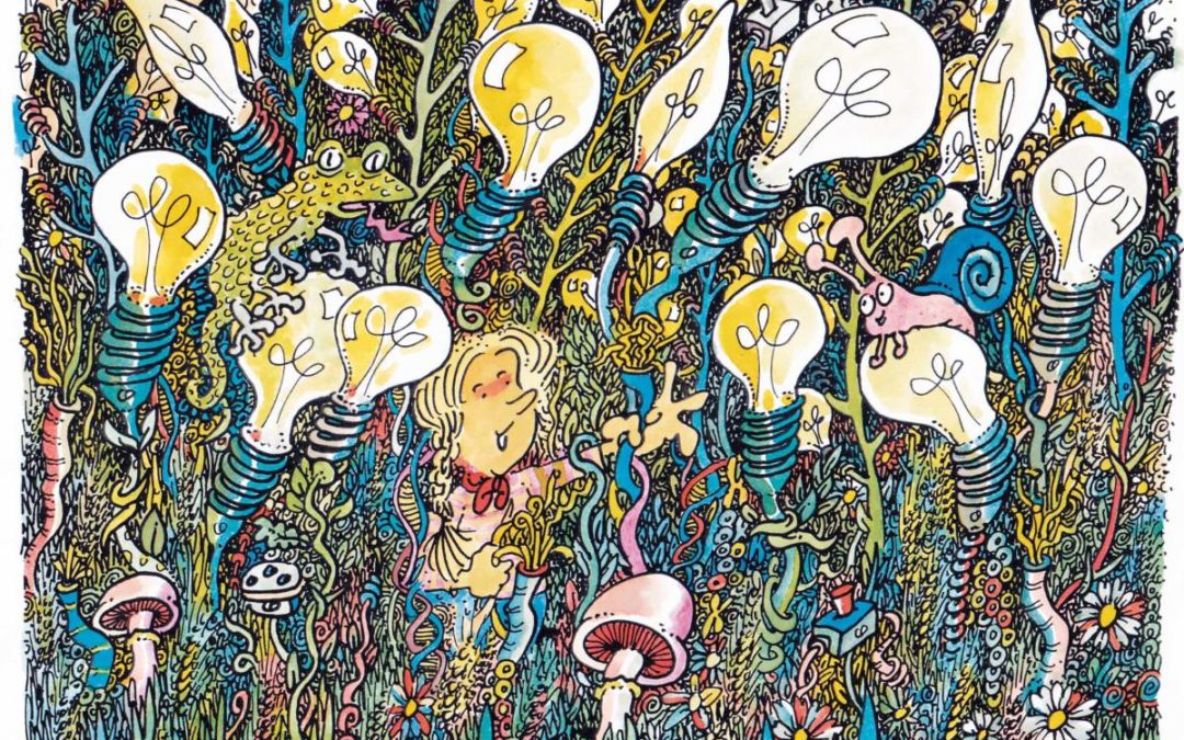 Lumières d’automne