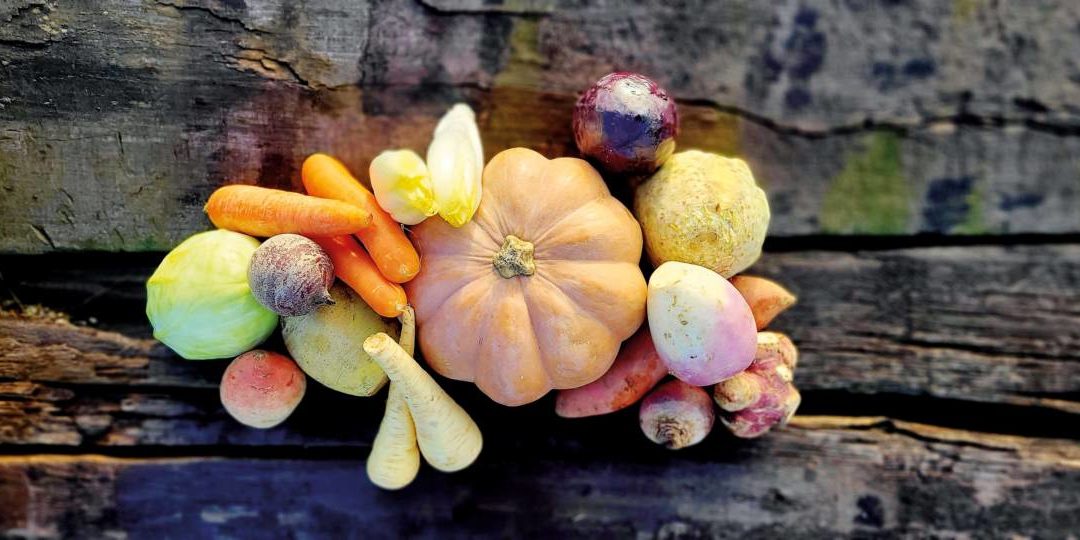 Une fin d’année tout en saveurs