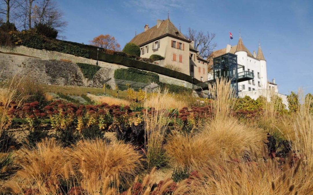 Rencontre entre culture et nature