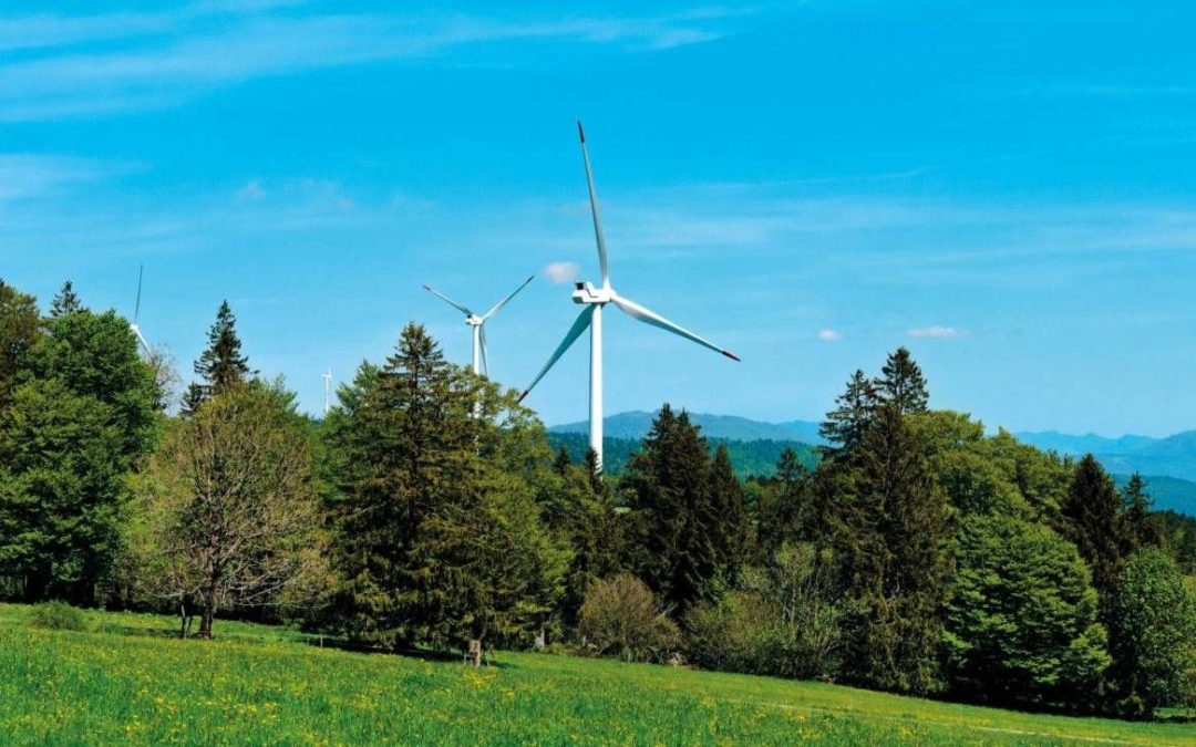 Le TF choisit les éoliennes