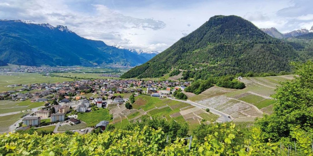 «Nous sommes typiques du territoire suisse»