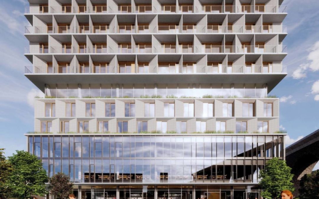 Le bois au sommet grâce à la tour Tilia