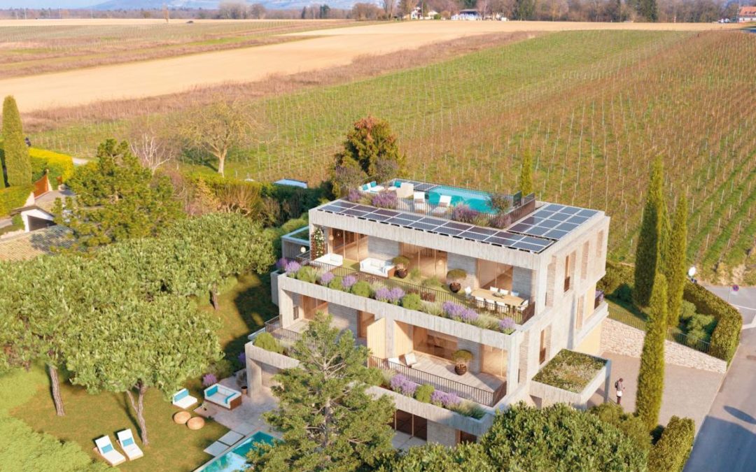 Logements en terrasses dans la campagne genevoise
