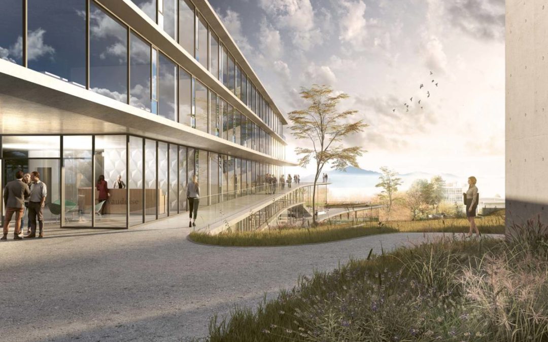 JB Ferrari & Associés, de l’autre côté du rideau