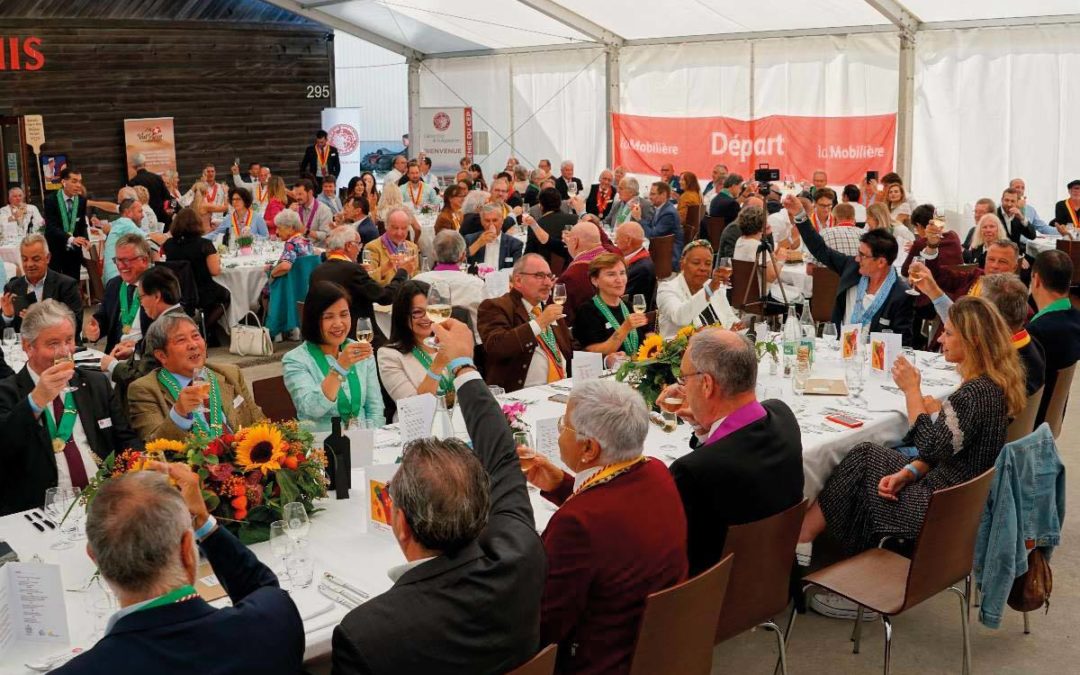 Connaître et apprécier vins et terroir