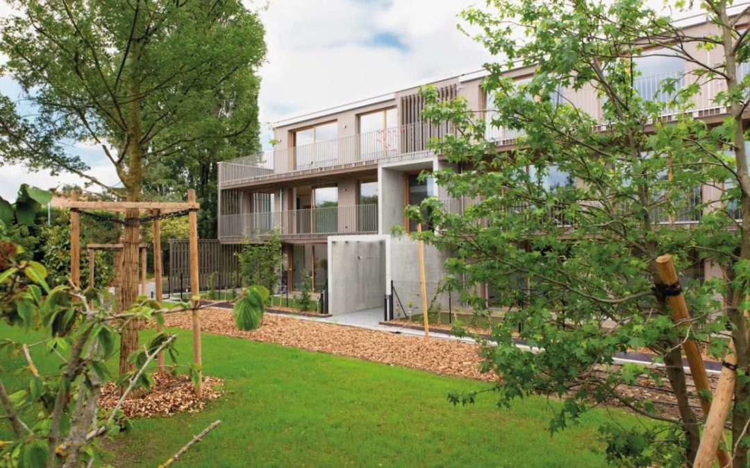 Dix logements PPE 100% en bois!
