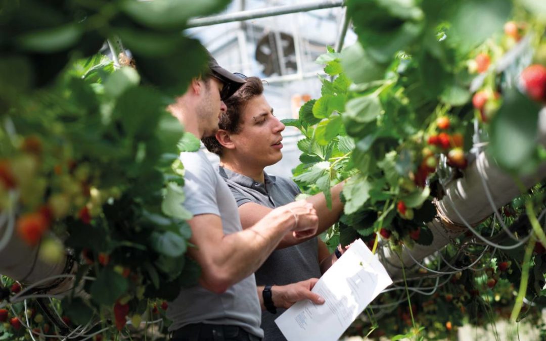 Ingénieurs en agronomie: des acteurs majeurs dans la transition écologique