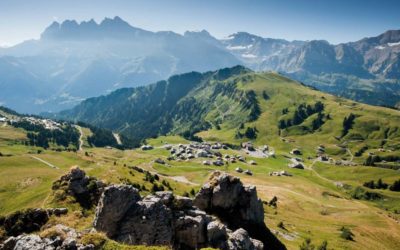 «Les gens aiment notre âme de village»