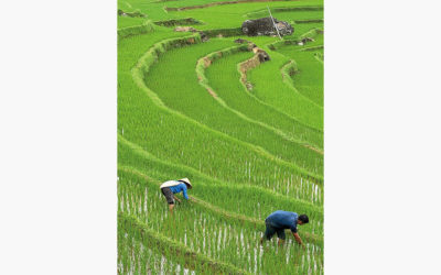 Expérience authentique à travers Vietnam et Cambodge