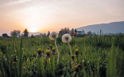 Biodiversité et culture, un jeu d’équilibriste qui nous concerne toutes et tous