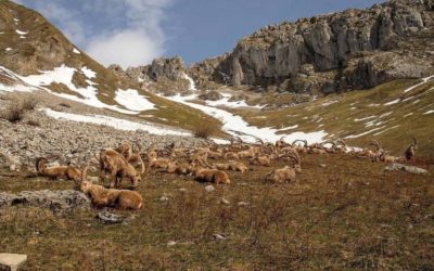 Guy Mettan frôle l’âme du Valais sauvage