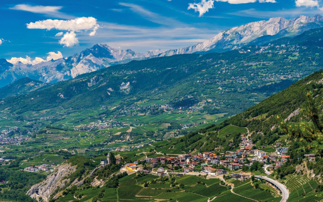 «L’immobilier? Un moteur qui tourne bien!»