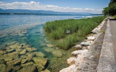 Un territoire vivant, connecté… et financé