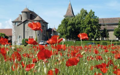 «Ne pas parler que de la douane!»