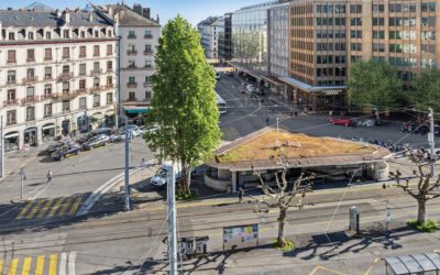 Le Groupe Comptoir Immobilier souffle ses 200 bougies!