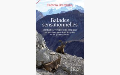 Notre sélection d’été